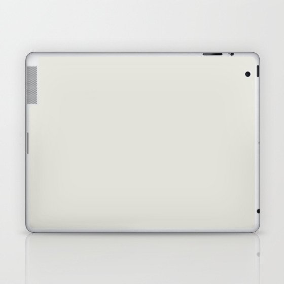 Light Gray-Green Solid Color Pantone Lily White 11-4301 TCX Shades of Green Hues Laptop & iPad Skin
