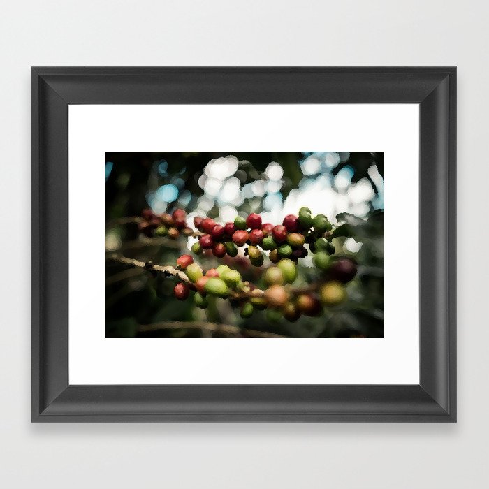 coffee tree Framed Art Print