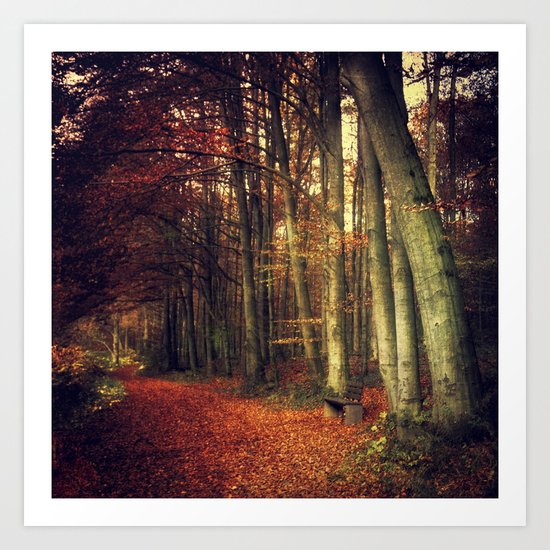 Red Forest Art Print