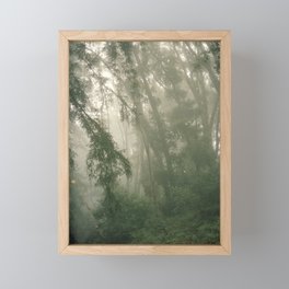 Foggy Redwoods Framed Mini Art Print