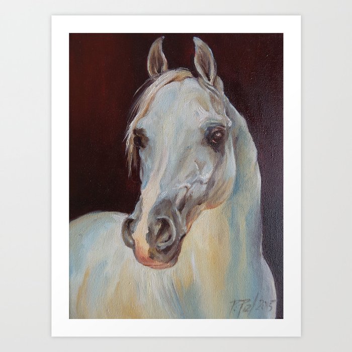 Arabian Horse Portrait Gray Horse Head Horse Painting Art Print By