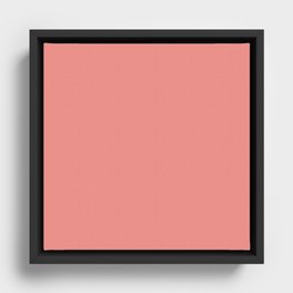 Bashful Blush Framed Canvas