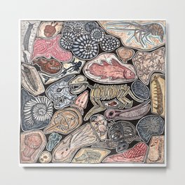 Fossils for history, dinosaur and archaeology lovers Metal Print