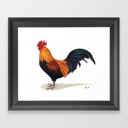 Rooster by Lars Furtwaengler | Ink Pen | 2011 Framed Art Print