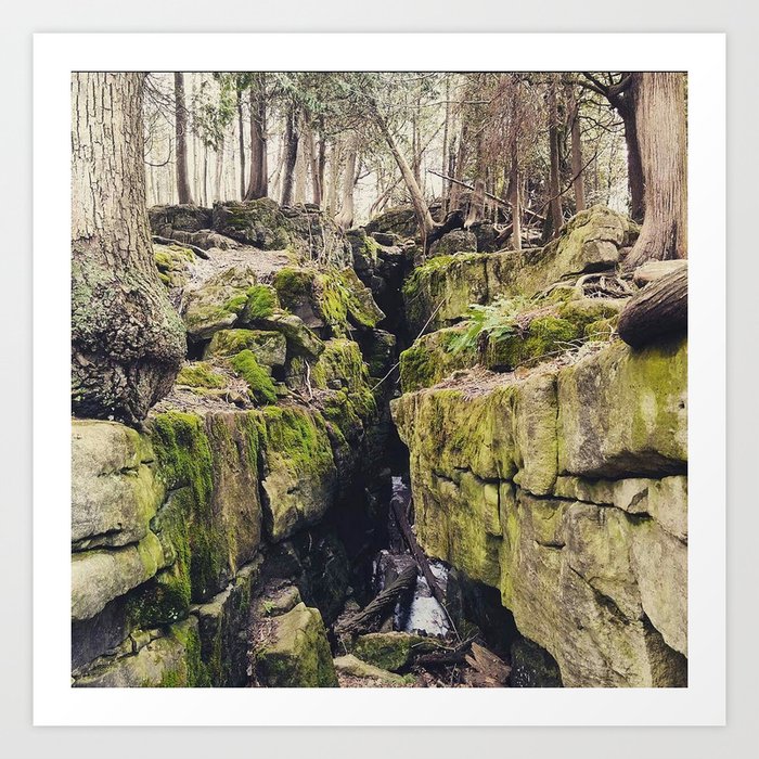 Rattlesnake Point, Bruce Trail Art Print