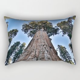Redwood big; redwoods of California; John Muir woods giant trees nature landscape color photograph / photography Rectangular Pillow