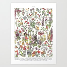 Fleurs Collection I Art Print