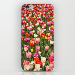 Tulip Festival iPhone Skin