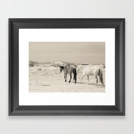 Wild Horses 6 - Black and White Framed Art Print