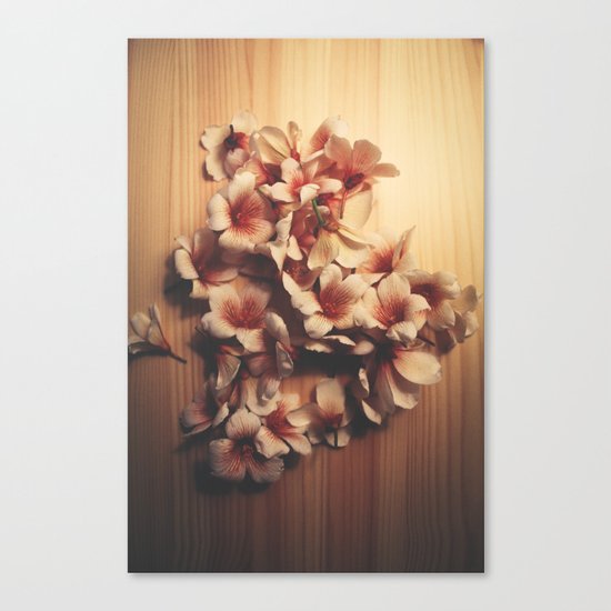 Light // Dark Canvas Print