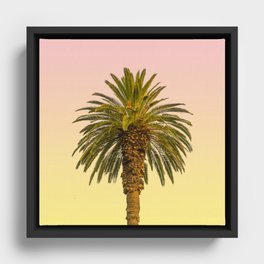Sunny Palm Framed Canvas