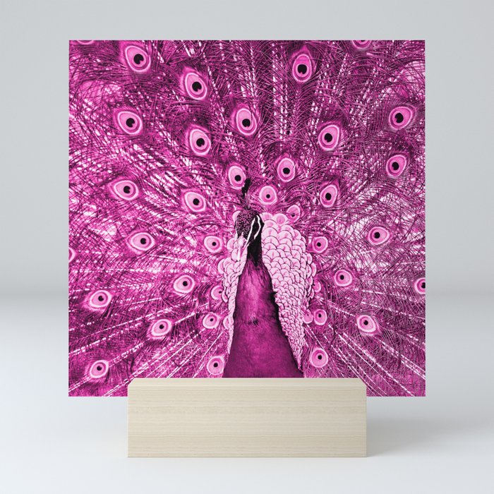 Pink Peacock Mini Art Print