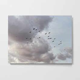 Beautiful sky Metal Print