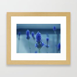 Blu Framed Art Print