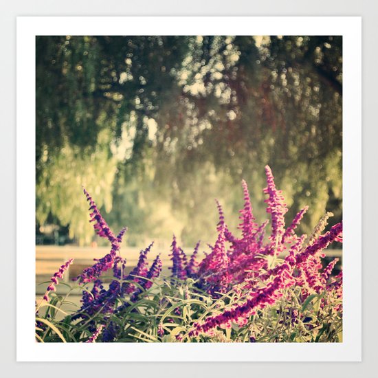 Sage & Pepper Art Print