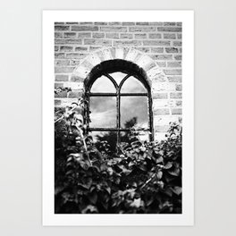 Hidden window behind the bushes | Black & White Street Photography | Fine Art Photo Print Art Print