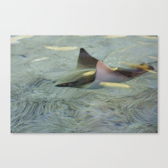 Long Days of Summer Canvas Print
