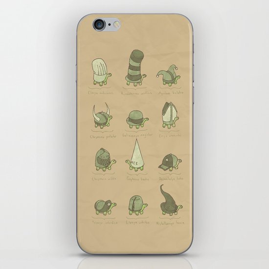 A Study of Turtles iPhone & iPod Skin