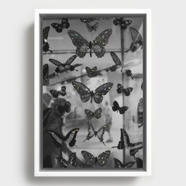 BLACK AND WHITE BUTTERFLIES | photo | sparkle and shine | wings | aesthetic | monochrome | fly  Framed Canvas