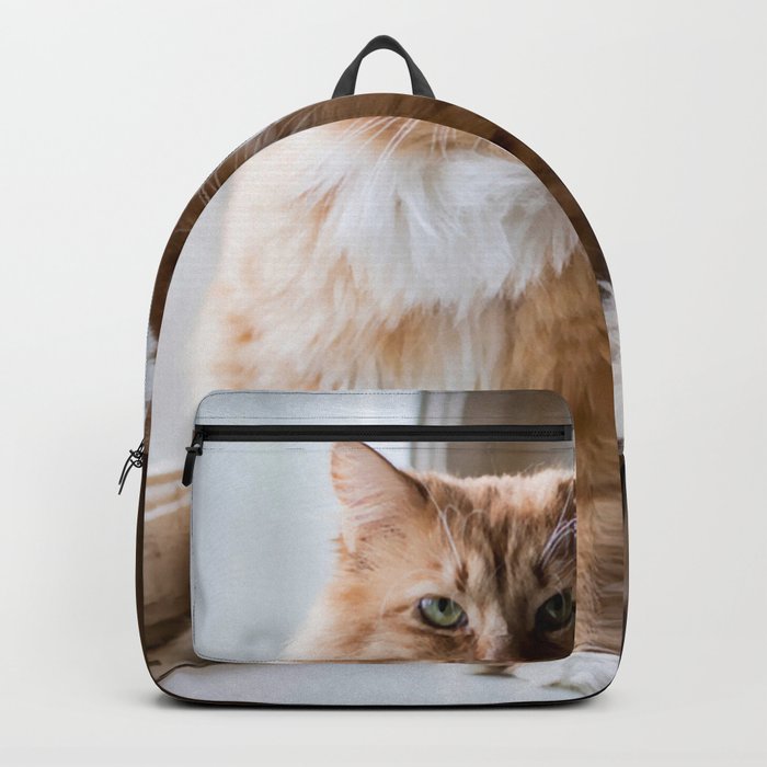 Sweat Cat Backpack