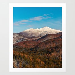 Autumn and winter at mountain Snežnik Art Print