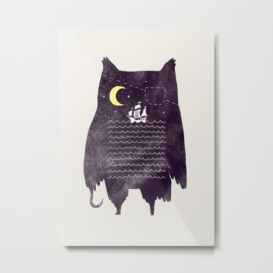 Pirate owl Metal Print