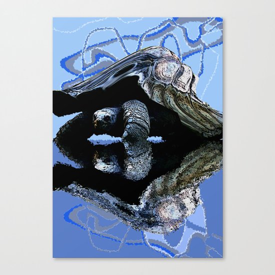 Blue Turtle Canvas Print
