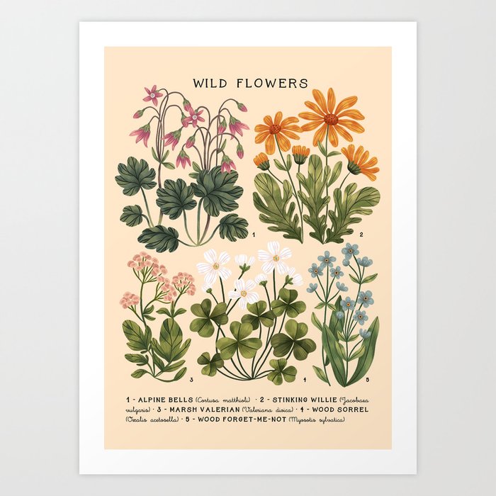 Wild Flowers ~ vol3. ~ light  vintage inspired botanical Art Print