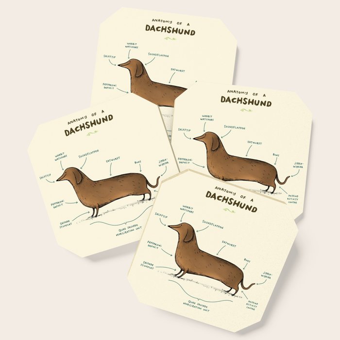 dachshund coasters