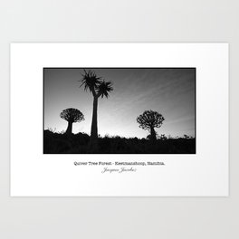 Quiver tree forest at Keetmanshoop Art Print | Digital, Photo, Forest, Sunset, Keetmanshoop, Namibia, Quivertrees, Black and White 