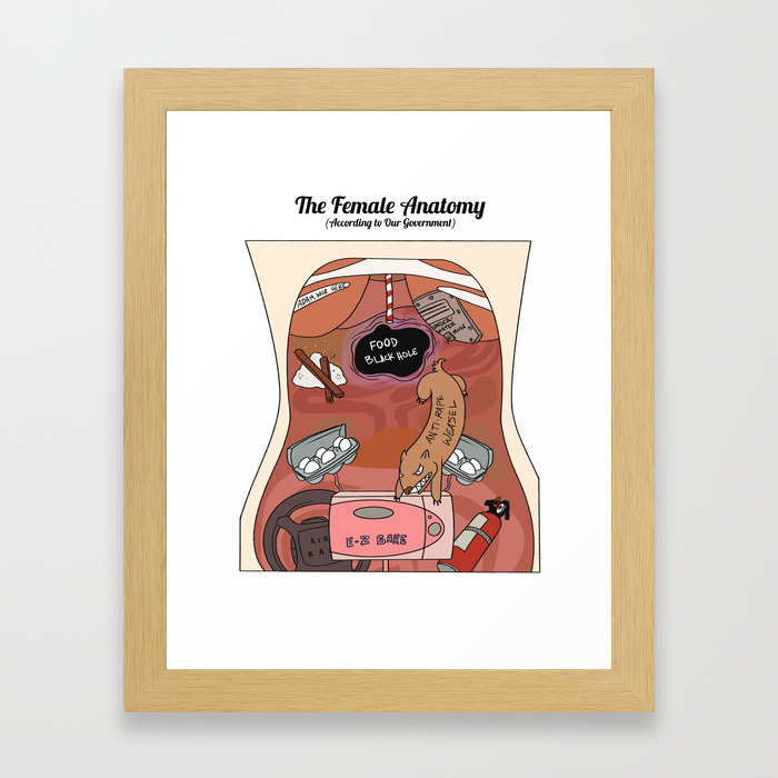 Female Anatomy Chart (According to Our Government) Framed Art Print