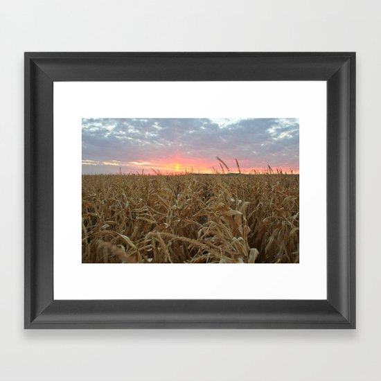 Corn Maze Sunset Framed Art Print