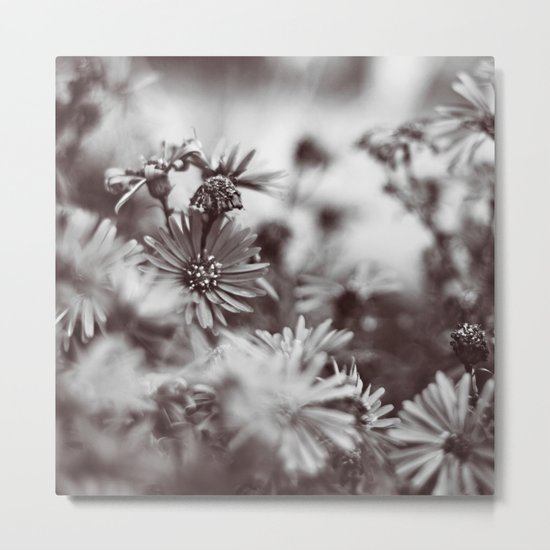 Grey Days Metal Print
