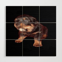 Rottweiler Puppy with Shocked Open Mouth Expression  Wood Wall Art