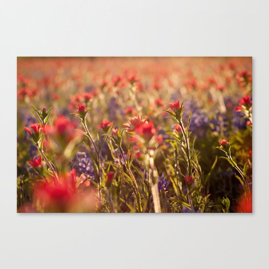 Wildflowers Canvas Print