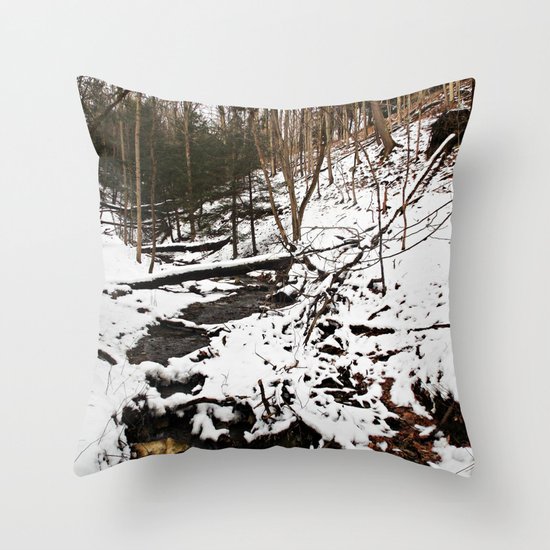 Downhill Stream Throw Pillow