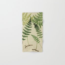 Botanical Ferns Hand & Bath Towel