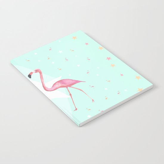 FLaMINGoS Notebook