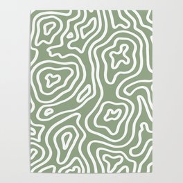 Topographic Abstract | Sage Poster