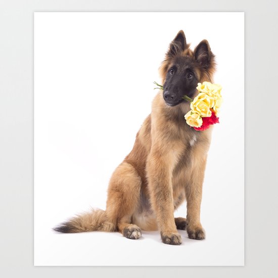 Puppy with roses Art Print