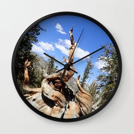 Oldest living things on earth Wall Clock