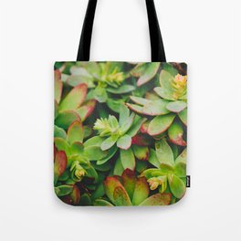 Sedum Palmeri Tote Bag