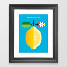 Fruit: Lemon Framed Art Print