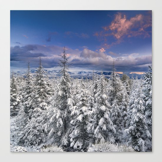 "Mountain Light III" Snowy Forest At Sunset Canvas Print