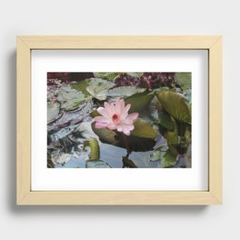 Lotus Recessed Framed Print