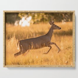 White Tailed Deer Serving Tray
