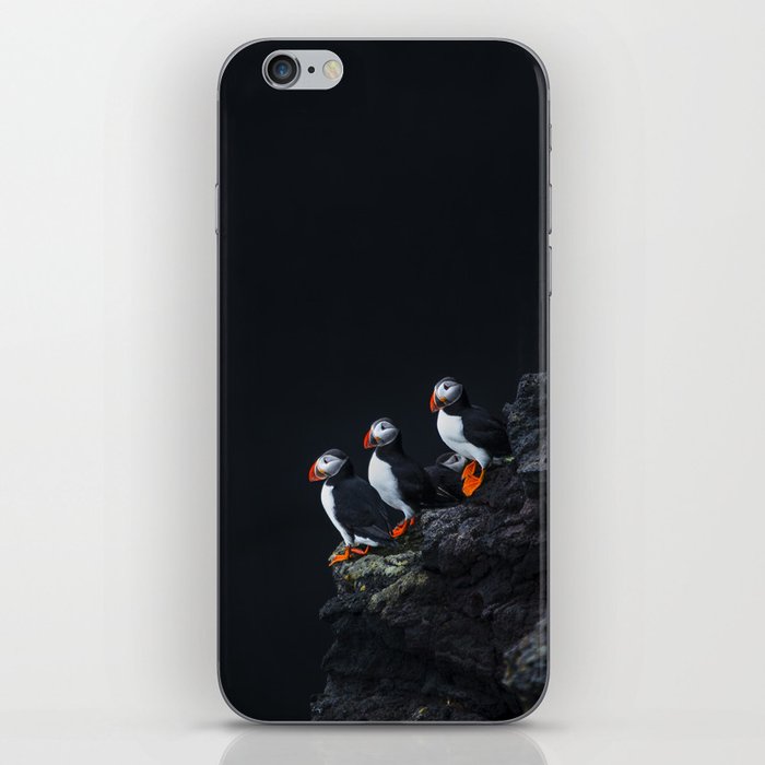 Icelandic puffins on a rock - travel wildlife photography iPhone Skin