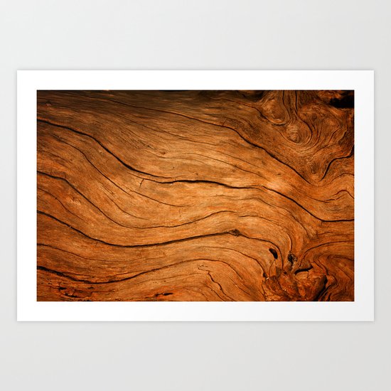 Wood Texture 99 Art Print
