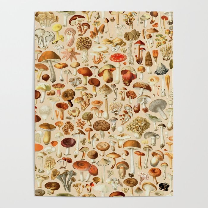 Vintage Mushroom Designs Collection Poster