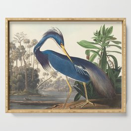 Louisiana Heron, Robert Havell after John James Audubon Serving Tray